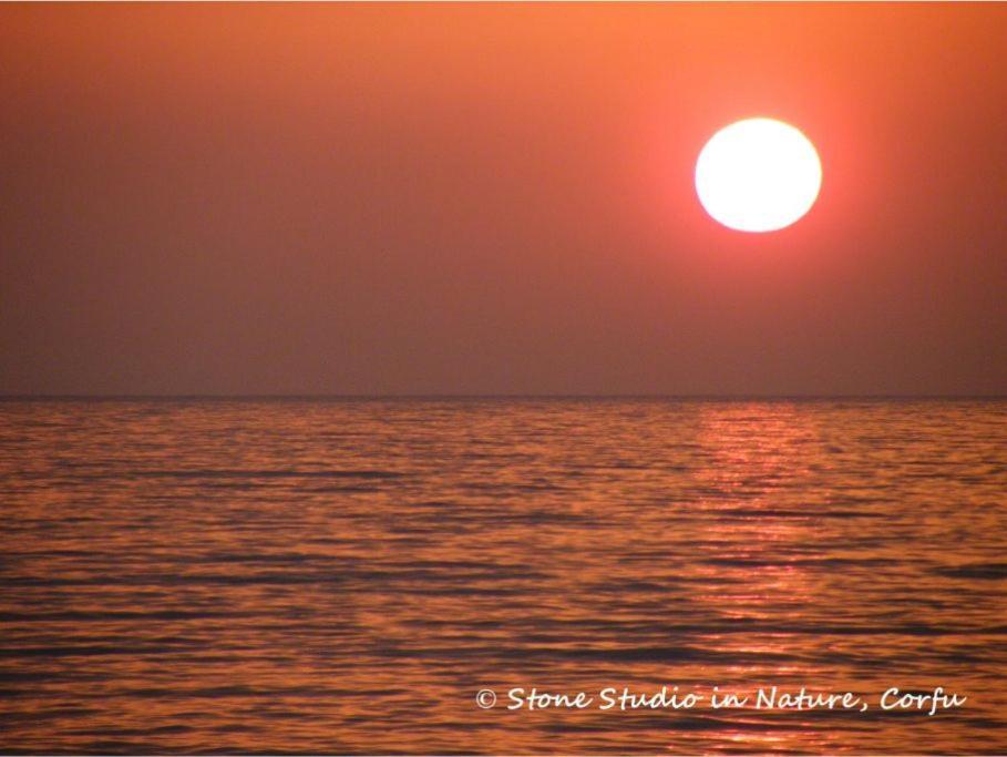 Stone In Nature With View To Corfu Town! Appartement Evropouloi